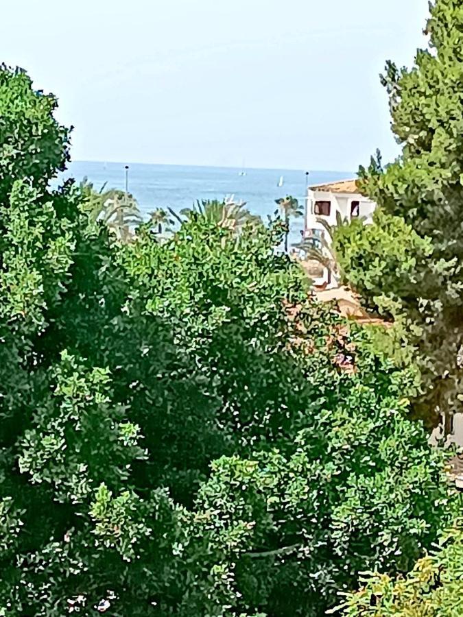 De Pinoso Lägenhet Torrevieja Exteriör bild